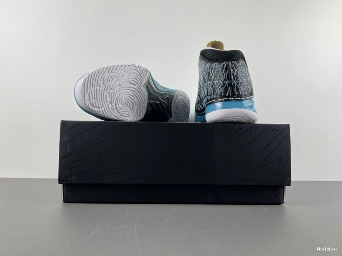 Rep TBkick 23 Jordan UNC 318376-041 0807